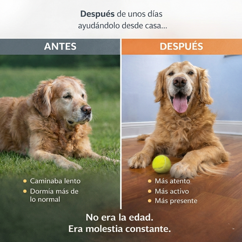 SanaPet Recovery Pad