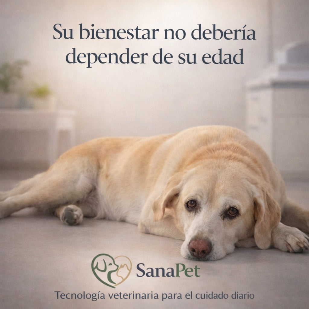 SanaPet Recovery Pad