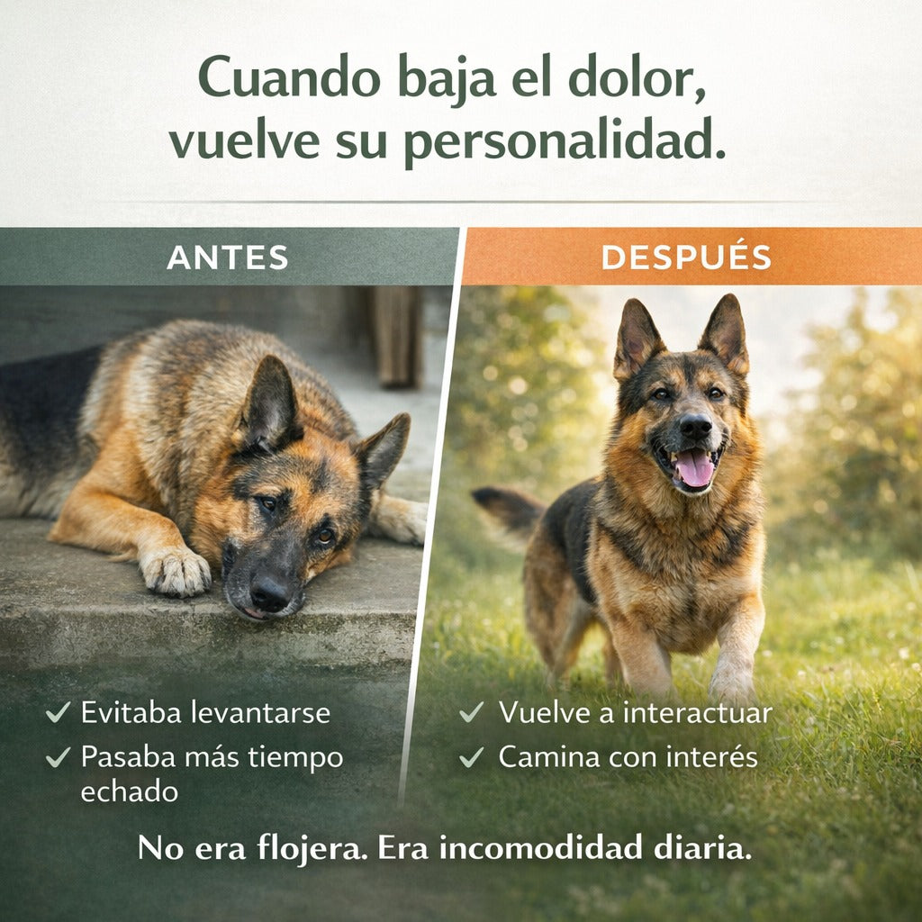 Feature product image