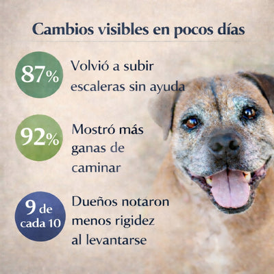 SanaPet Recovery Pad