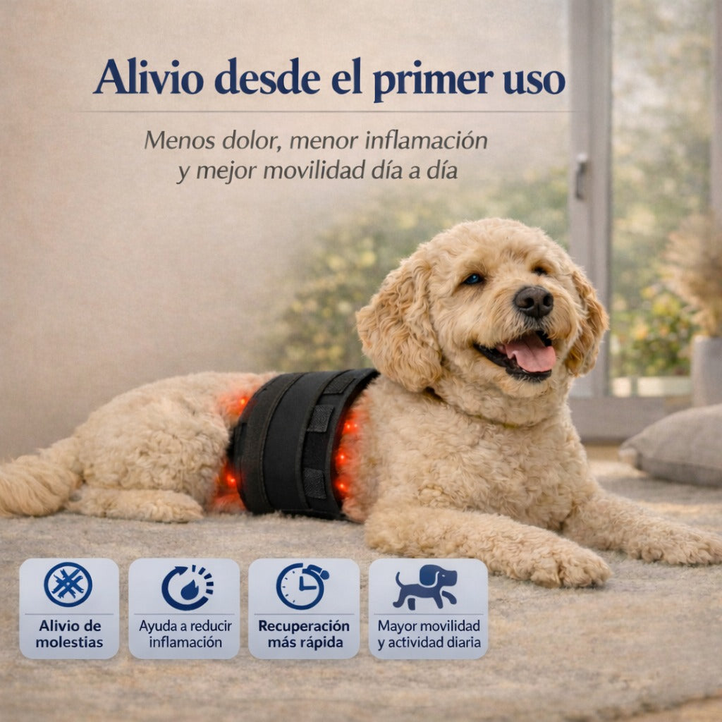 SanaPet Recovery Pad